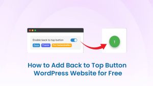 How to Add WordPress Back to Top Button Free, Brainywp